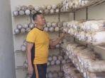 Sosok Polisi Nyambi Petani Jamur, Lahan Kosong di Belakang Kantor Disulap, Hasil Dijual ke Pedagang
