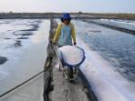 produksi-pt-garam-merosot.jpg