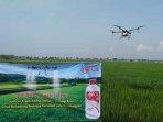 Ajinomoto Aplikasikan Pupuk Ajifol dengan Teknologi Drone untuk Dukung Pertanian Berkelanjutan