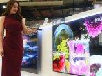 Bawa Tingkatan Baru Inovasi TV LCD, LG Resmi Pasarkan QNED Mini LED TV di Indonesia