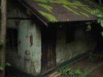 Tembok dan Genteng Penuh Lumut, Rumah Jadul ini Dijual Rp25 Juta, Penjual Sebut Cocok untuk Hotel