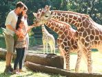 taman-safari-prigen-pasuruan_20180426_142543.jpg