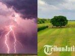 tersambar-petir-pohon-jomblo-di-Sidoarjo.jpg