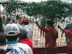 tpa-disegel-warga-kabupaten-bangkalan.jpg