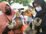 World Rabies Day, 2.300 Hewan Liar dan Peliharaan di Banyuwangi Dapat Vaksinasi Rabies Gratis