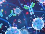 virus-corona-n439k-2.jpg