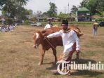 Cara Unik Warga Blitar saat Gelar Salat Istisqa, Bawa Hewan Ternak Agar Ikut Berdoa Minta Hujan