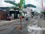 Jalan Rusak di Tulungagung Ditanami Pisang sudah Dianggarkan Dinas PUPR, Bisa Dikerjakan Awal 2026