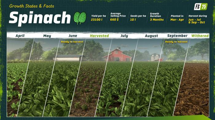 20260405 Farming Simulator 2025 Steam 2