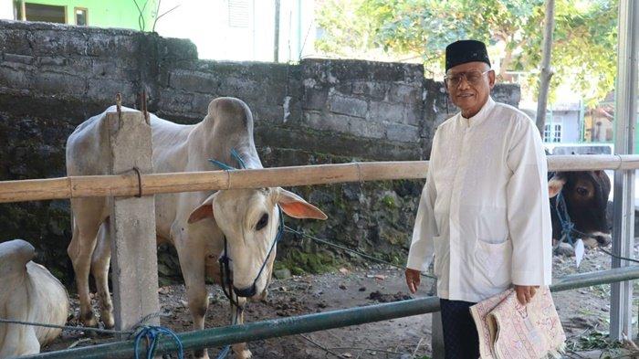 Anggota DPR RI Subardi Serahkan Sapi Kurban 300 Kg di Masjid Shirothul Jannah Papringan Sleman