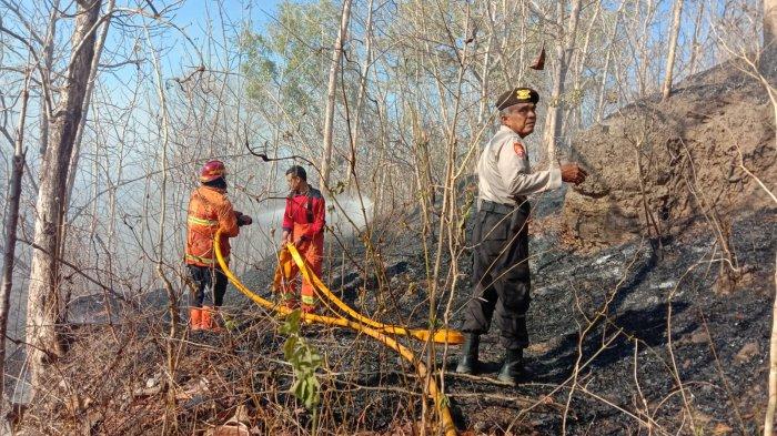 BREAKING NEWS : Lahan Sultan Ground Seluas 2 Hektare di Kapanewon Pundong Hangus Terbakar