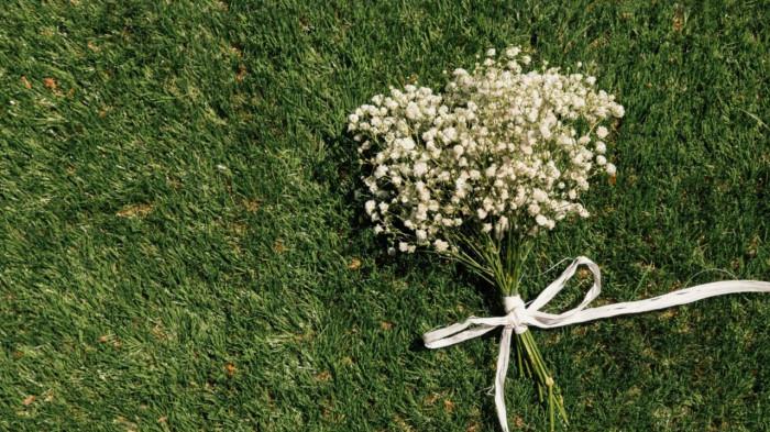 Baby’s Breath (Gypsophila)