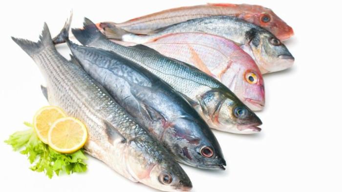 Tips Menghilangkan Bau Amis dan Lendir pada Ikan agar Tetap Segar