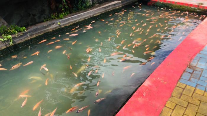 Bendungan Lepen Jogja2