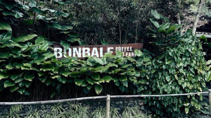 Bonbale Coffee Hidden Slow Bar Vibes Kebun di Jogja Utara