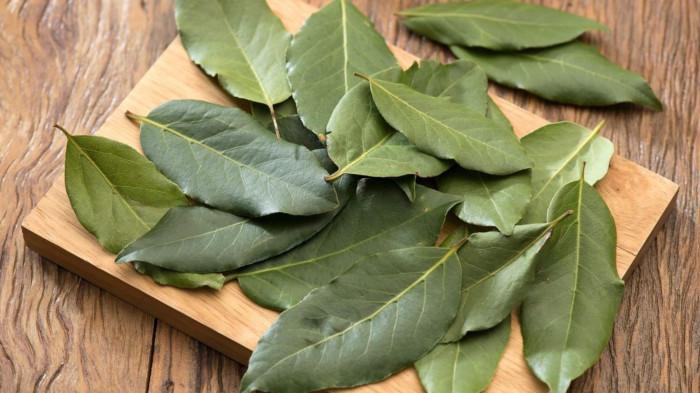 8 Jenis Daun Aromatik yang Sering Digunakan dalam Masakan Indonesia