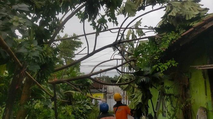 Dua Rumah di Bantul Rusak Terdampak Hujan dan Angin Kencang