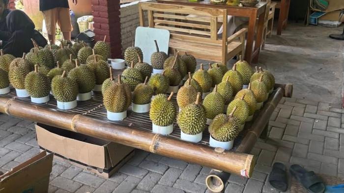 Durian bulat