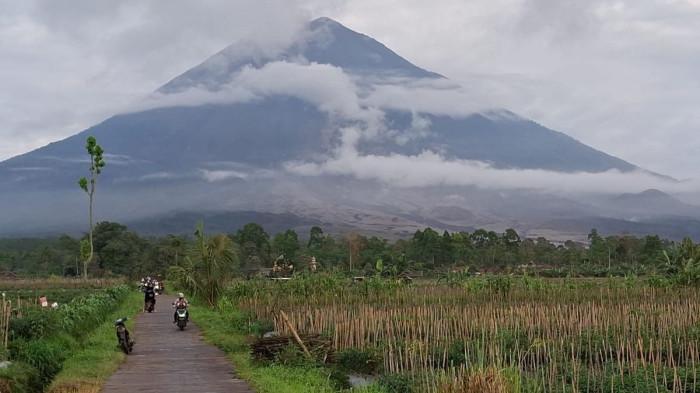 Enam Jam Terakhir, Gunung Semeru Alami 25 Letusan dan Guguran Awan Panas