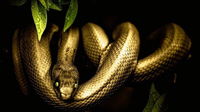 Brothers-dan yuqori sifatli porno tomosha qiling