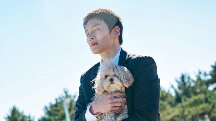 SINOPSIS dan Link Nonton Drama Korea If You Wish Upon Me, Dibintangi Ji Chang Wook dan Sooyoung SNSD