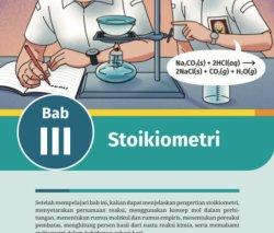 Penjelasan Lengkap Stoikiometri Materi Pelajaran Kimia BAB 3 Kelas 11