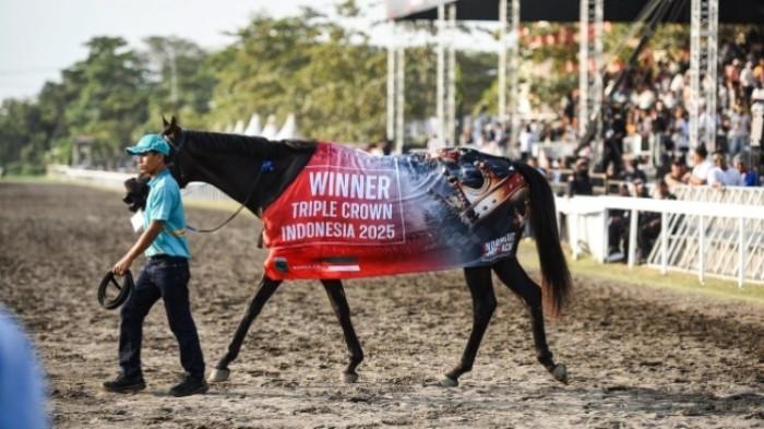King Argentin juara Triple Crown 2025.
