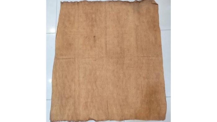 Kulit Kayu Kapuak