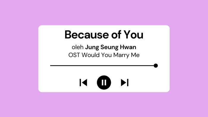 Lirik Lagu dan Terjemahan Because of You Jung Seung Hwan OST Would You Marry Me Part 7