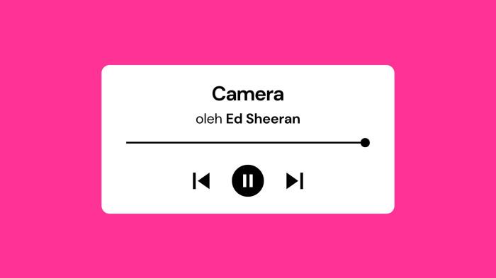 Lirik Lagu Camera - Ed Sheera dengan Terjemahan