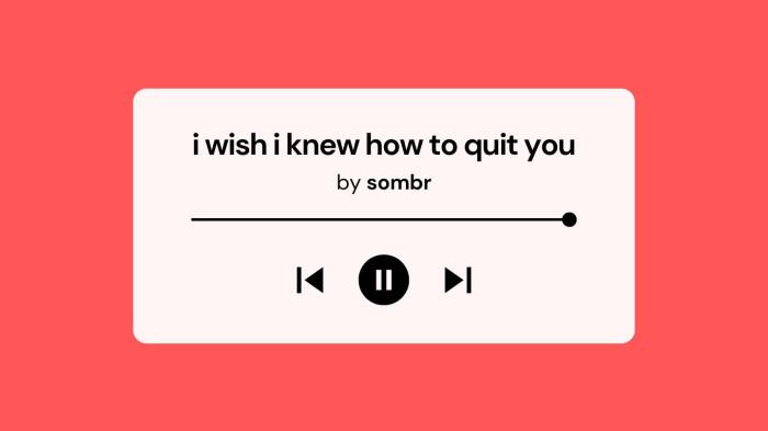 Lirik Lagu I Wish I Knew How To Quit You oleh Sombr dengan Terjemahan
