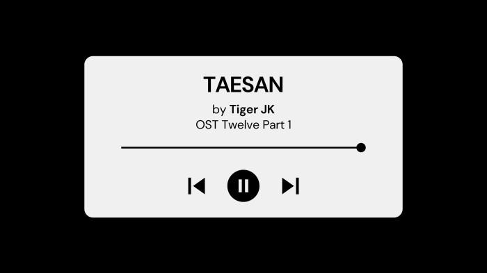 Lirik Lagu TAESAN Tiger JK OST Twelve Part 1 dengan Terjemahan