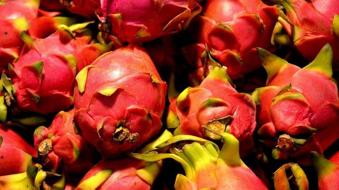 Buah Naga