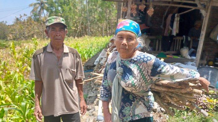 CERITA Mbah Kardi Relakan Tanah untuk Pembangunan Proyek Kelok 18 JJLS Gunungkidul