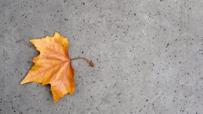 Minimalist Photography