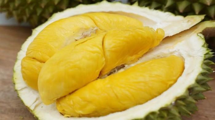 Musang King