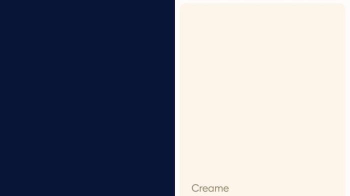 Navy dan Cream