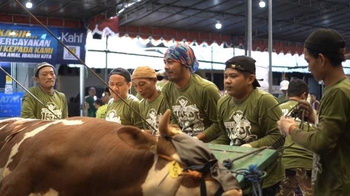 Mengintip Dapur Panitia Kurban Jogokariyan, Kunci Sembelih 65 Sapi Tanpa Insiden Kabur dan Ngamuk