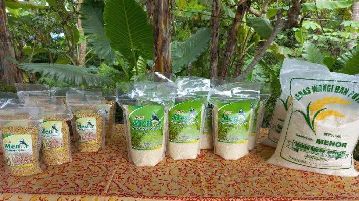 Pemkab Kulon Progo Kembangkan Varietas Unggulan Nasional Padi Menor di 12 Kapanewon