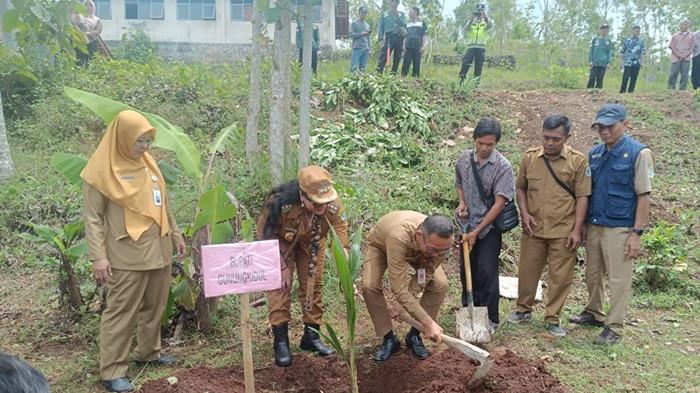 Pemkab Gunungkidul Terima 11.000 Pohon Kelapa untuk Dukung Ketahanan Pangan dan Pariwisata