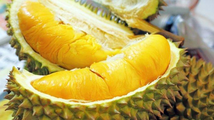 Pencinta Duren Jogja Merapat! Ini 7 Rekomendasi Tempat Makan Durian di Jogja 2023