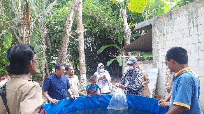DKP Kulon Progo dan Fakultas Biologi UGM Kerjasama Kembangkan Budidaya Ikan Wader Pari