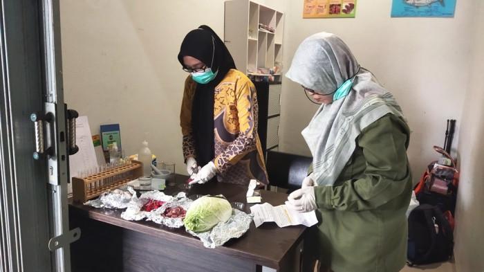 Deretan Sampel Pangan di Yogyakarta Mengandung Residu Pestisida dan Formalin, Ini Langkah Pemkot