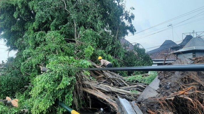 Data Wilayah Terdampak Hujan Disertai Angin di Kota Yogyakarta