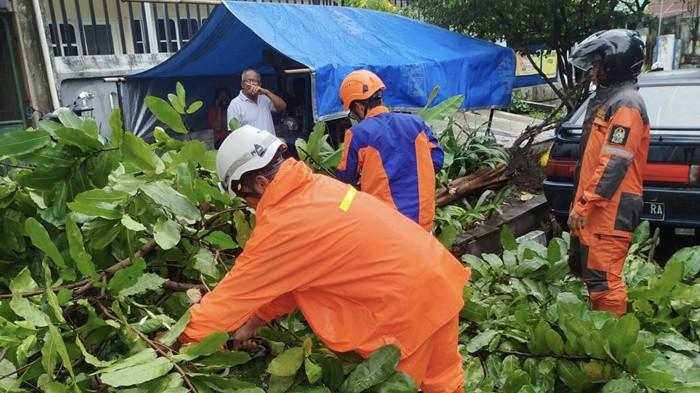 Cuaca Ekstrem Melanda DIY, Puluhan Pohon Dilaporkan Tumbang di Kota Yogyakarta