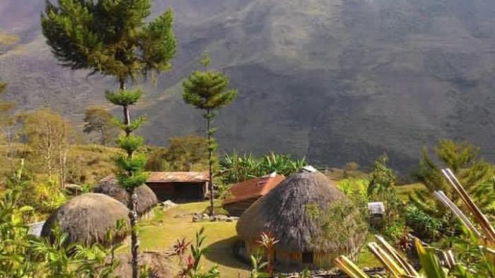 Rumah Adat Honai