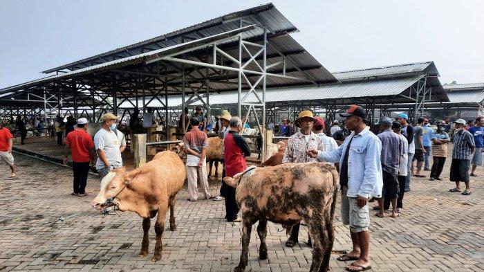 Transaksi di Pasar Hewan Siyono Gunungkidul Anjlok Terimbas Wabah PMK