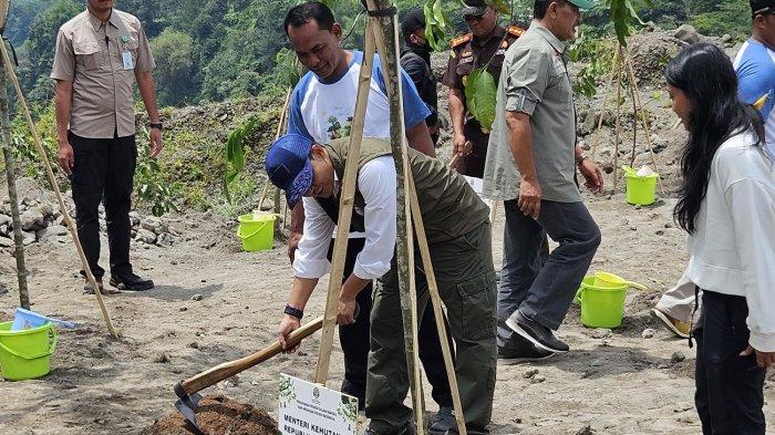 TANAM POHON: Menteri Kehutanan Raja Juli Antoni menanam pohon di kawasan TNGM, Kecamatan Dukun, Magelang, sebagai simbol dimulainya penanaman serentak di 32 provinsi, Selasa (25/11/2025)