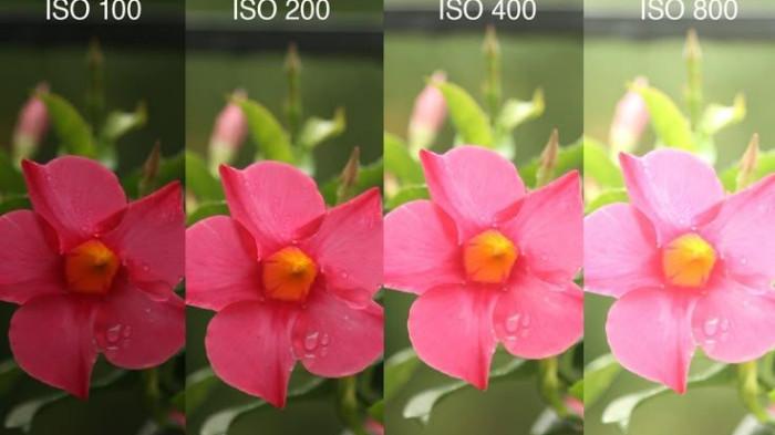 Teknik fotografi segitiga eksposur ISO