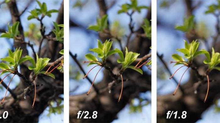 Perbedaan Aperture (Bukaan Diafragma)